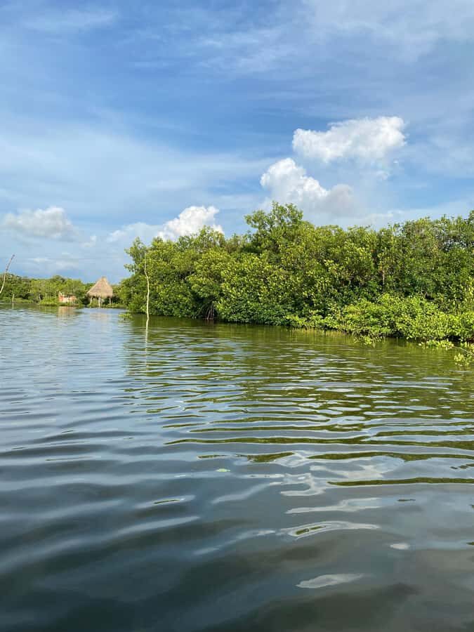 Typical lunch on beach, mangrove tour & fishing with natives - Who This Mangrove + Fishing Day Fits Best