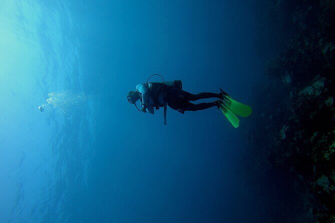Under a sea of adventures, unforgettable diving. - Key Highlights From This Cartagena Scuba Day