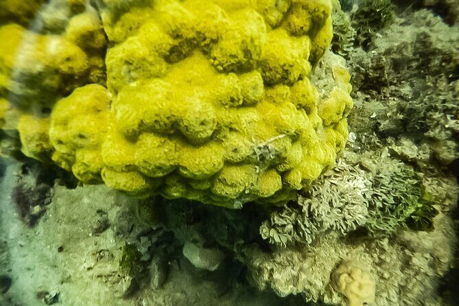 Under a sea of adventures, unforgettable diving. - Boat Ride to the Island: Quick, Practical Travel Time